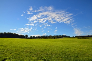 Sommargymnasium åk 9-ämnen